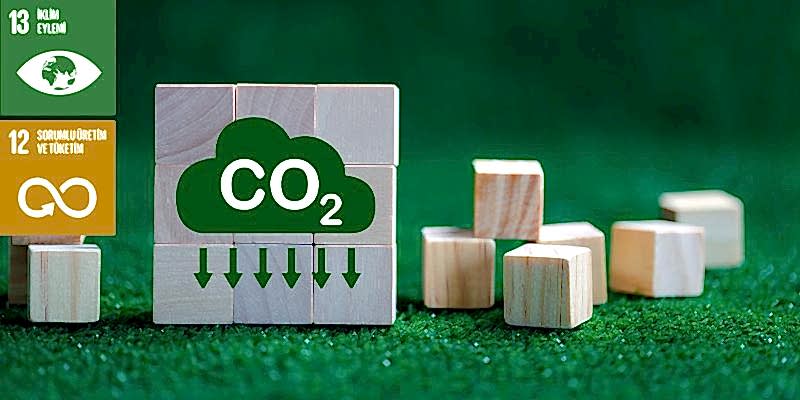 Carbon Emissions Image